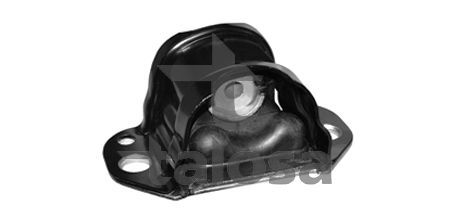 Variklio montavimas TALOSA 61-05173