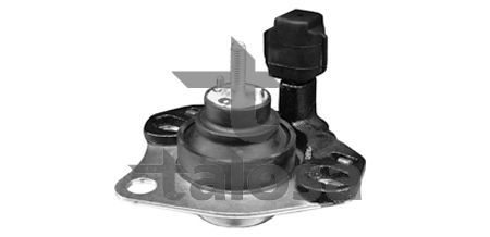 Variklio montavimas TALOSA 61-05192