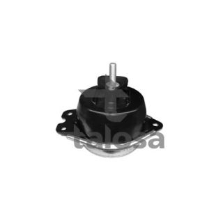 Variklio montavimas TALOSA 61-05196