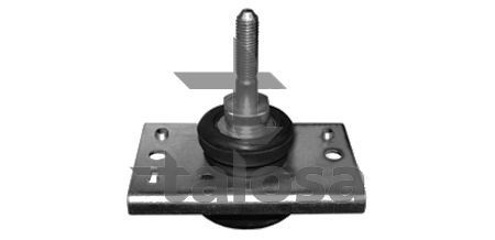 Variklio montavimas TALOSA 61-05200