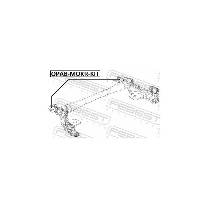 Remonto komplektas, ašies korpusas FEBEST OPAB-MOKR-KIT