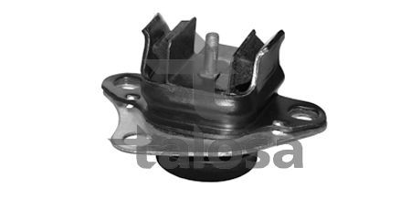 Variklio montavimas TALOSA 61-05205