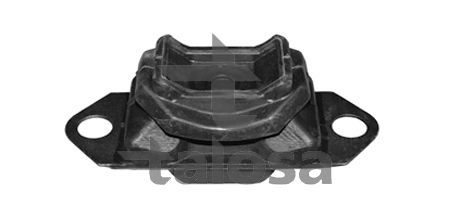 Variklio montavimas TALOSA 61-05220