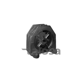 Variklio montavimas TALOSA 61-05233