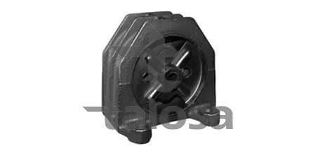 Variklio montavimas TALOSA 61-05233