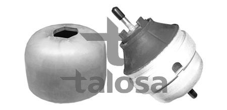 Variklio montavimas TALOSA 61-05308