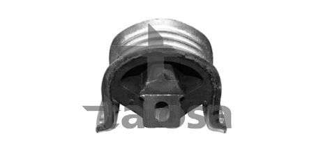 Variklio montavimas TALOSA 61-05335