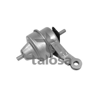 Variklio montavimas TALOSA 61-06246