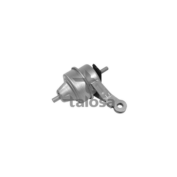 Variklio montavimas TALOSA 61-06246