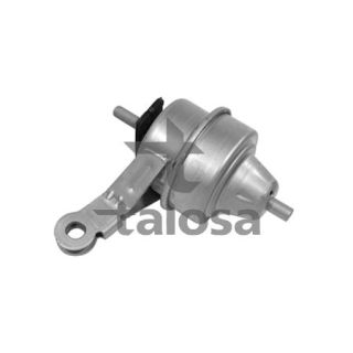 Variklio montavimas TALOSA 61-06247