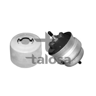 Variklio montavimas TALOSA 61-06578