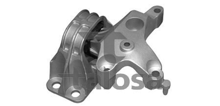 Variklio montavimas TALOSA 61-06663