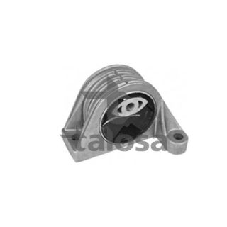 Variklio montavimas TALOSA 61-06738