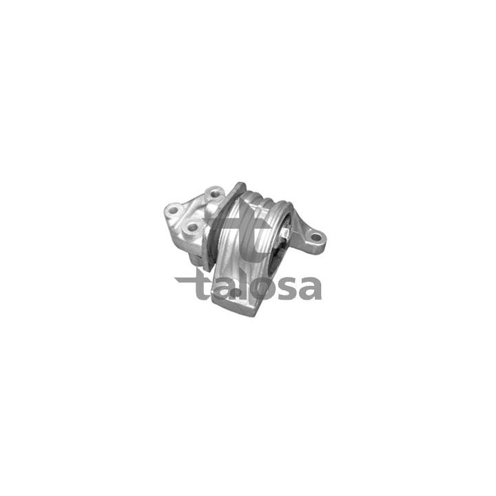 Variklio montavimas TALOSA 61-06739