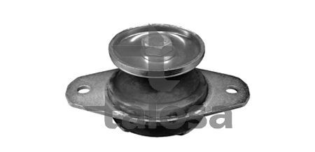 Variklio montavimas TALOSA 61-06770