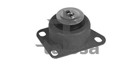 Variklio montavimas TALOSA 61-06773