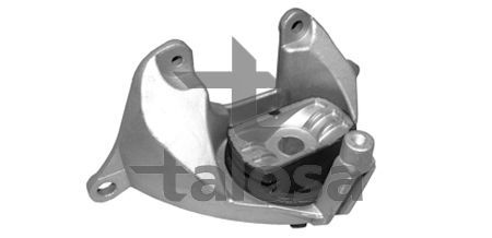 Variklio montavimas TALOSA 61-06779