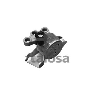 Variklio montavimas TALOSA 61-06781