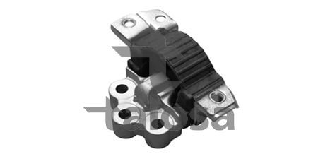 Variklio montavimas TALOSA 61-06795