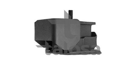 Variklio montavimas TALOSA 61-06839