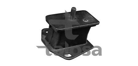 Variklio montavimas TALOSA 61-06841