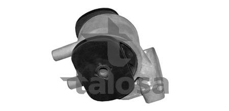 Variklio montavimas TALOSA 61-06845