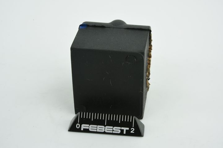 Skersinio stabilizatoriaus įvorių komplektas FEBEST BZSB-124R