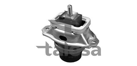 Variklio montavimas TALOSA 61-09446