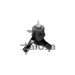 Variklio montavimas TALOSA 61-10172