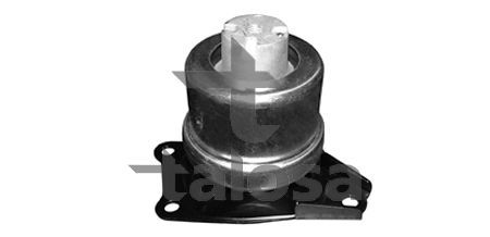 Variklio montavimas TALOSA 61-10177