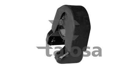 Variklio montavimas TALOSA 61-11075