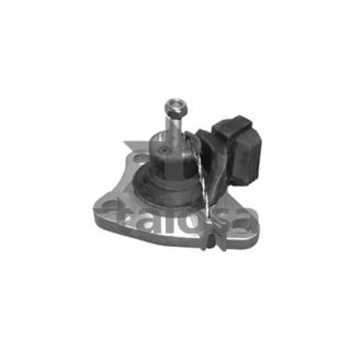 Variklio montavimas TALOSA 61-11077