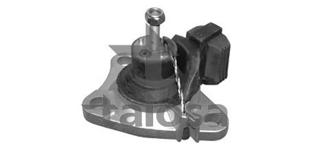 Variklio montavimas TALOSA 61-11077