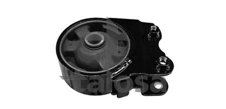 Variklio montavimas TALOSA 61-11128
