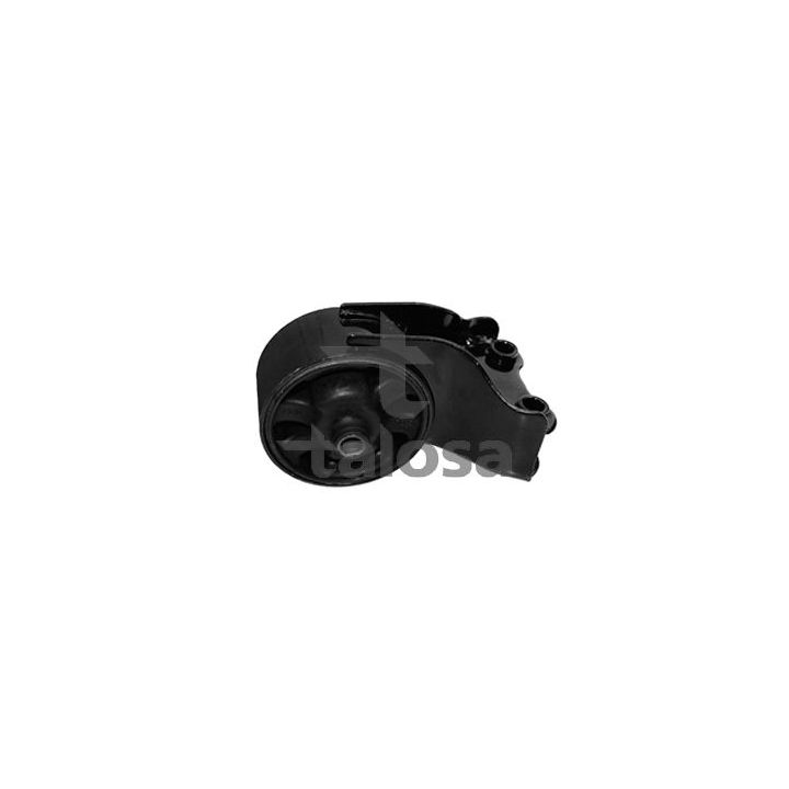 Variklio montavimas TALOSA 61-11131