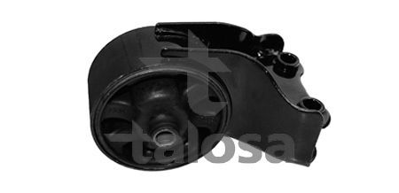 Variklio montavimas TALOSA 61-11131