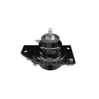 Variklio montavimas TALOSA 61-11133