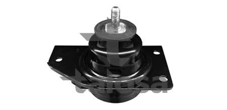 Variklio montavimas TALOSA 61-11133