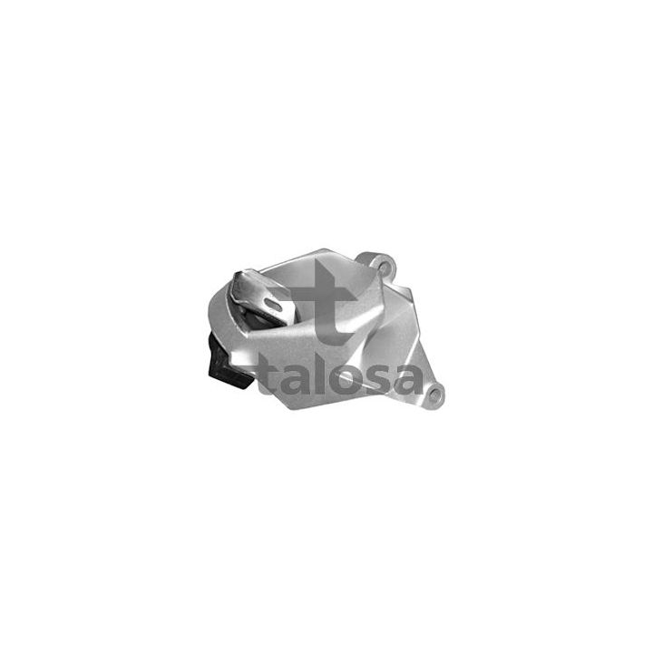 Variklio montavimas TALOSA 61-11137