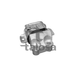 Variklio montavimas TALOSA 61-11302