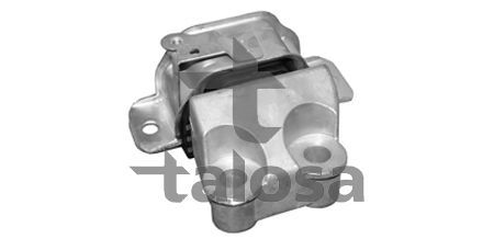 Variklio montavimas TALOSA 61-11302