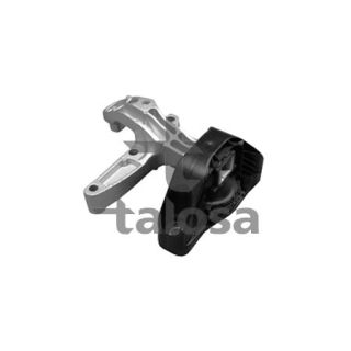 Variklio montavimas TALOSA 61-11305