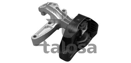 Variklio montavimas TALOSA 61-11305