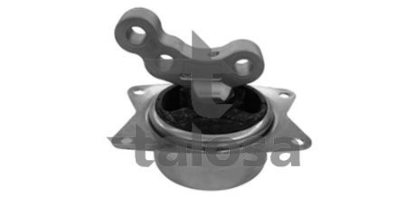 Variklio montavimas TALOSA 61-11380