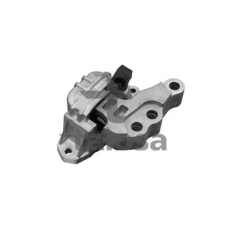 Variklio montavimas TALOSA 61-11633