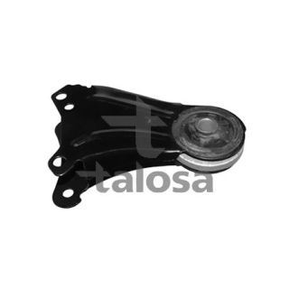 Variklio montavimas TALOSA 61-11728