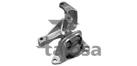 Variklio montavimas TALOSA 61-12016