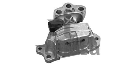 Variklio montavimas TALOSA 61-12977