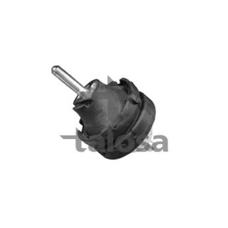 Variklio montavimas TALOSA 61-12979