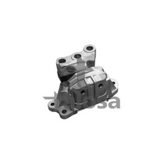 Variklio montavimas TALOSA 61-13276